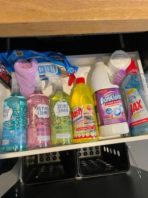 Klimatisierte Sehr Zentrale Wohnung-Loftstyle- Wiedeń Zewnętrze zdjęcie